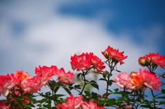 いつも感謝してます