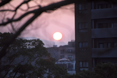 今日も晴れ