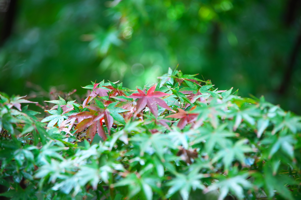 もう少し待って