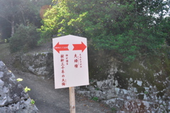 ここで大楠に左折