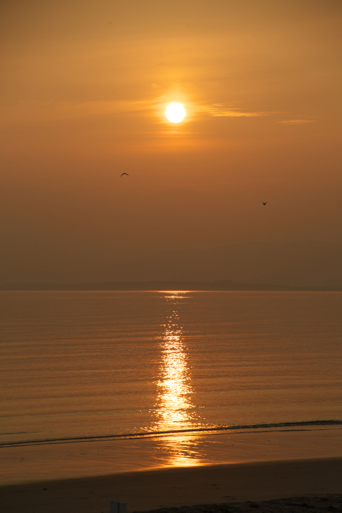 玄海の朝日