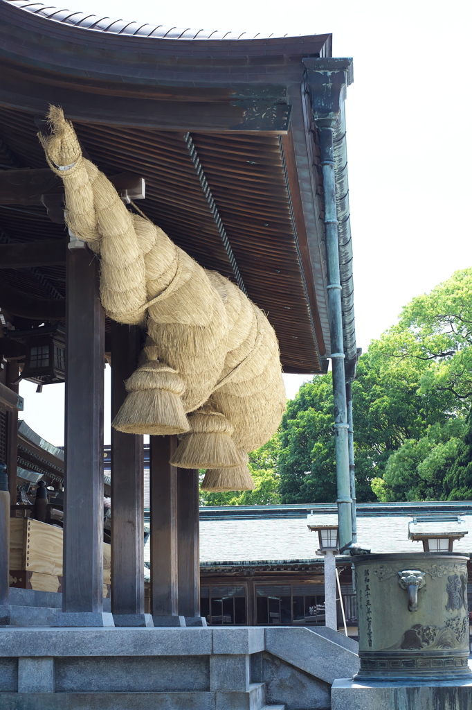 横から見ても立派なしめ縄