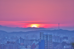愛宕からの朝日