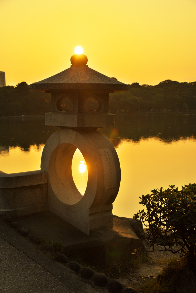 太陽in灯篭
