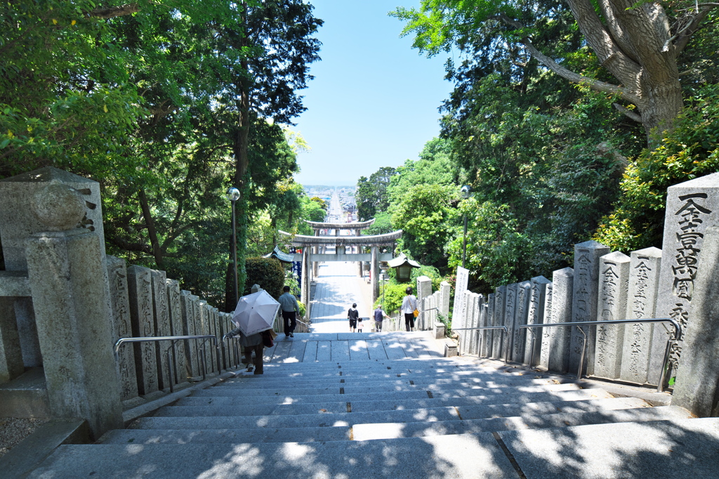 朝の光の道
