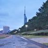 百道浜のともし火