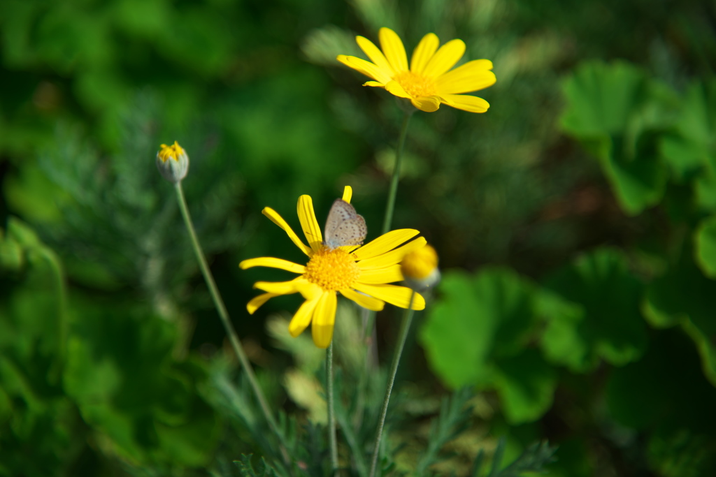 タイミングが問題でしょうか
