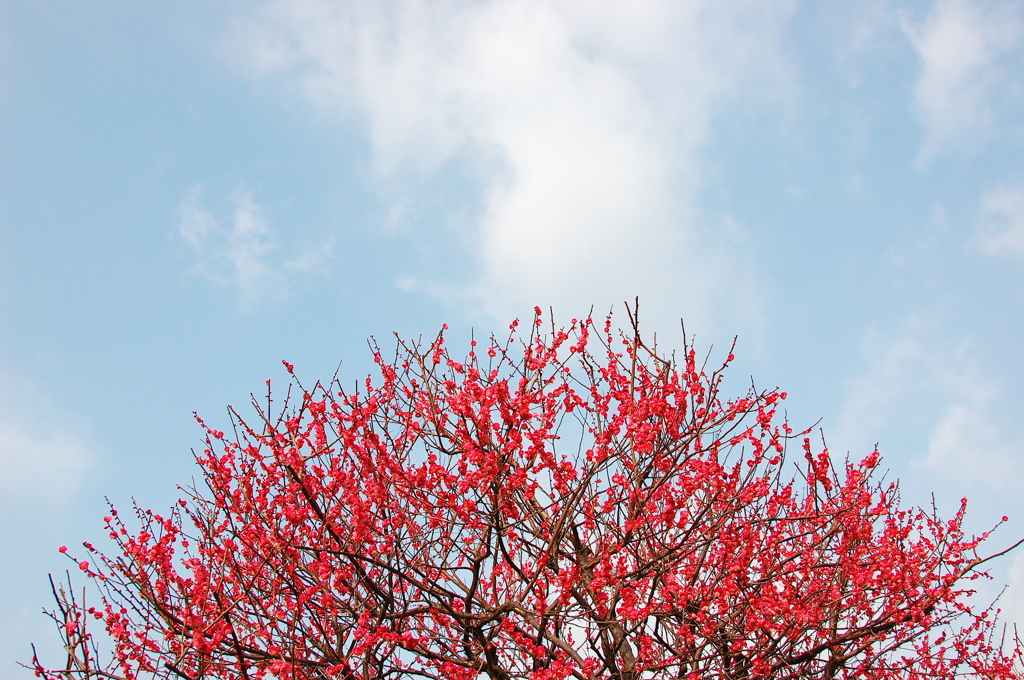 撮り方も変わりました