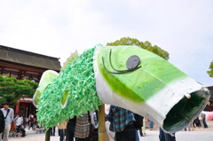 太宰府天満宮の境内