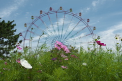 観覧車も点検中