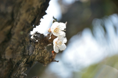 目立たなくても