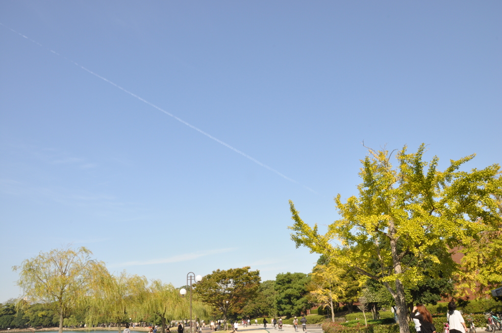 飛行機雲