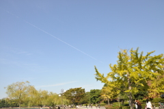 飛行機雲
