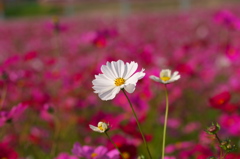 この場所を探しました