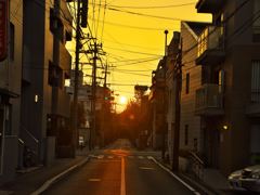 路地の朝日