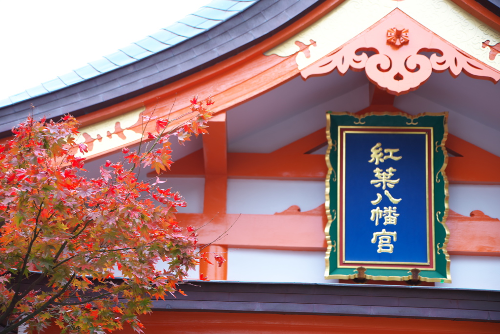 本殿