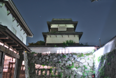 福岡城址の夜景