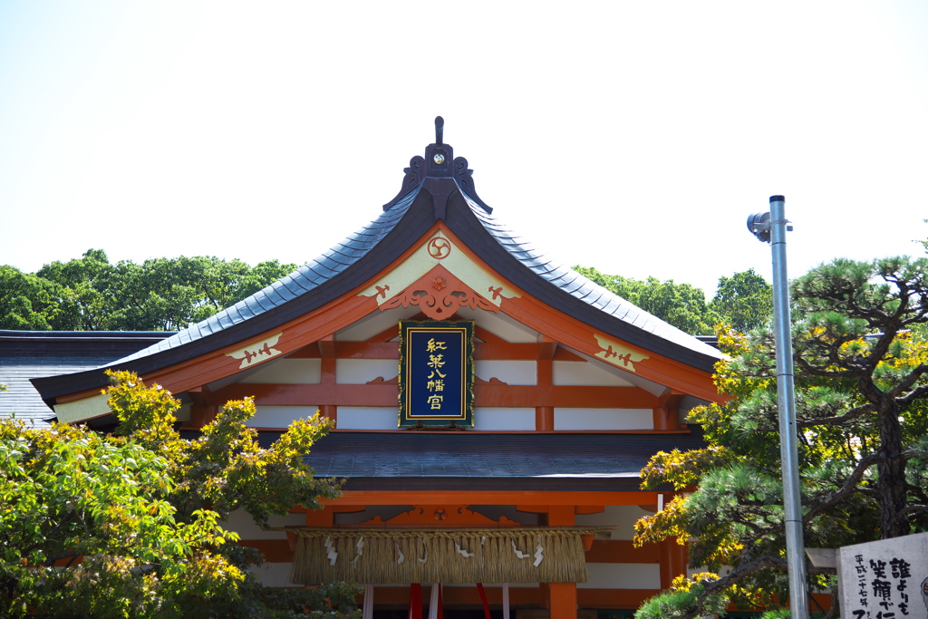 今からがシーズン