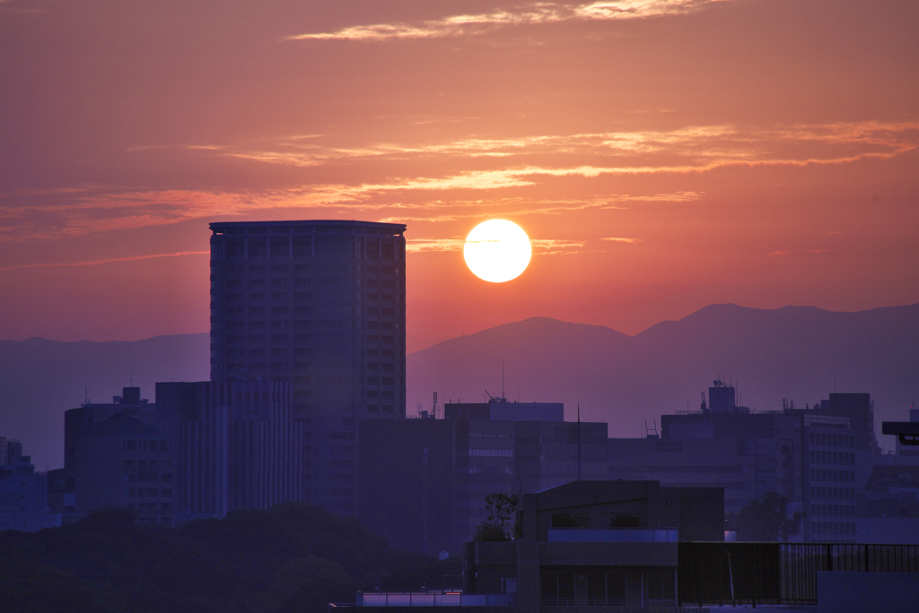 朝日のお出まし