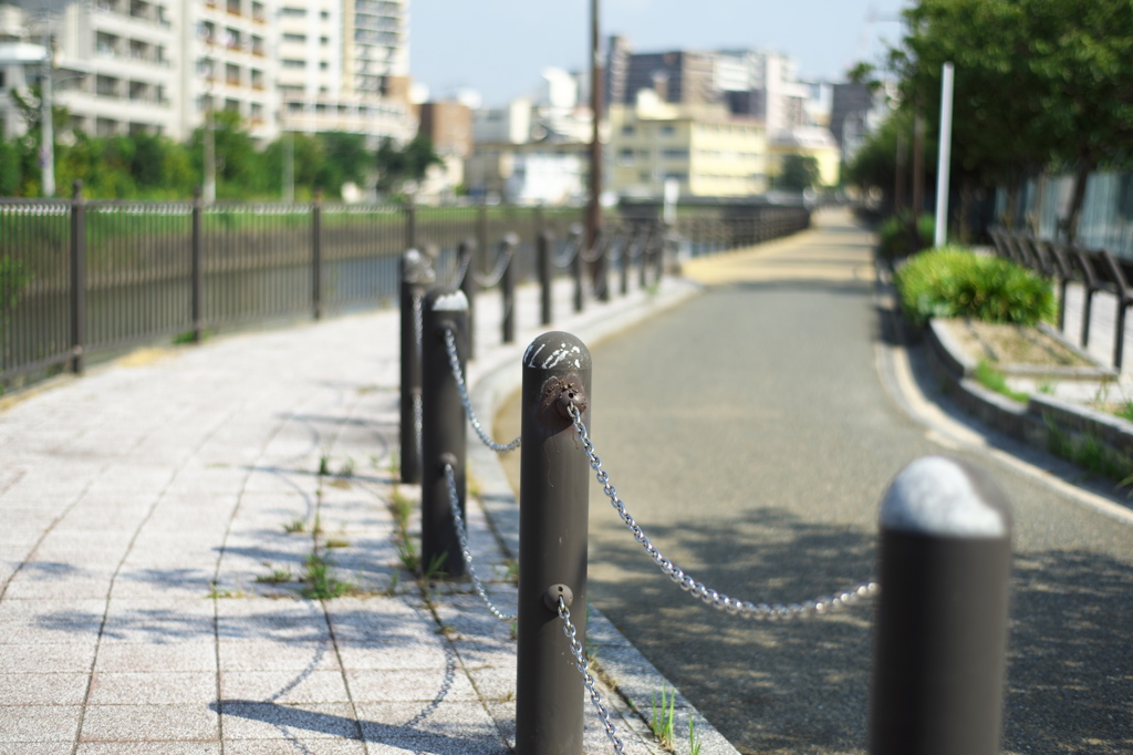 川辺の歩道