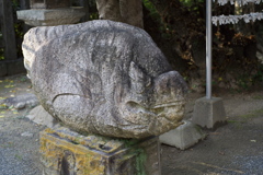 狛犬ではなく鯛がお迎え