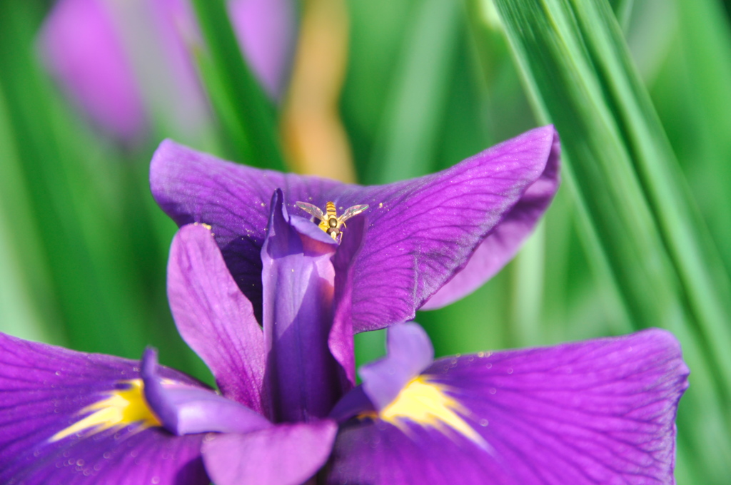 お食事中ちょっと失礼します