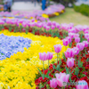 20180408-IMGP7999