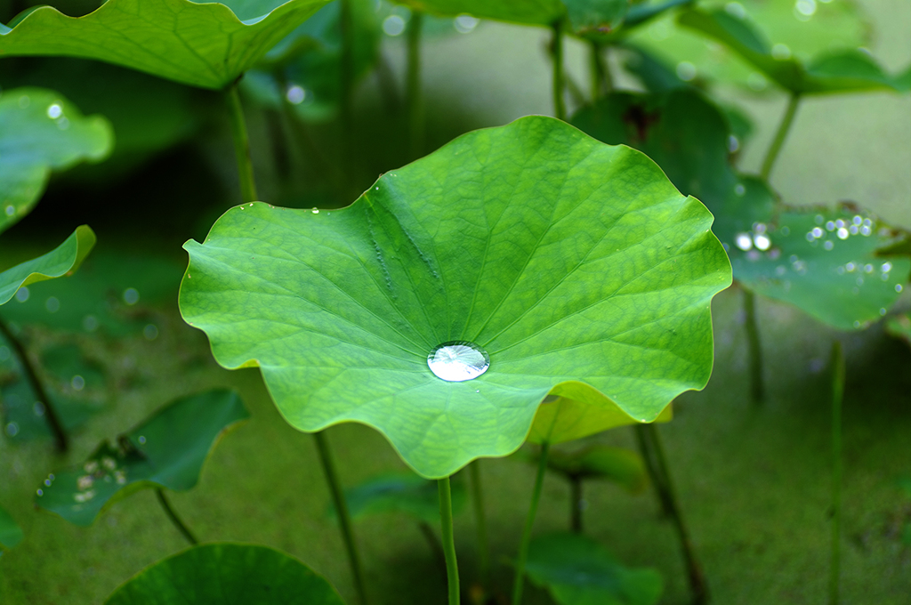 ～ 雨に降られて ～