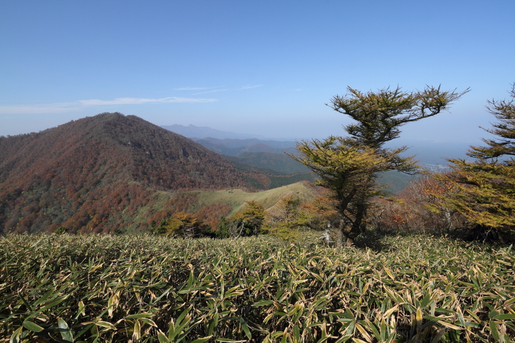 紅葉の上蒜山