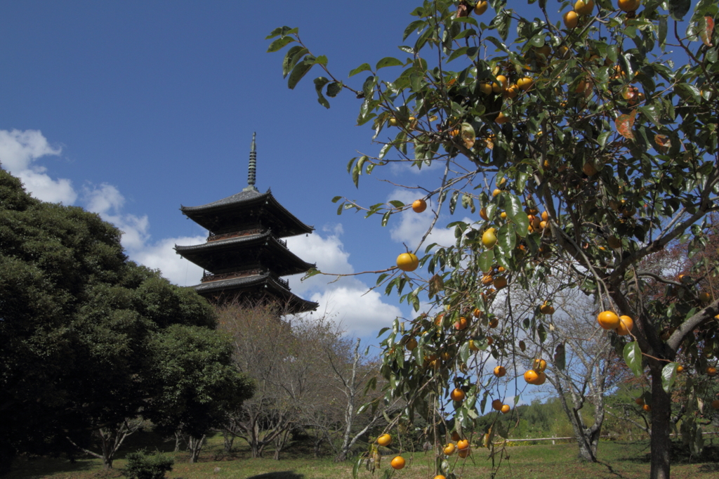 国分寺五重塔