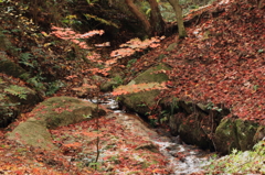 モミジと小川