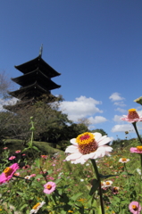 秋・国分寺五重塔