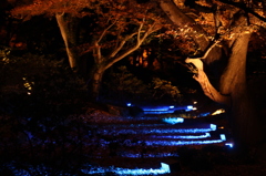 六義園にて