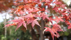 六義園にて