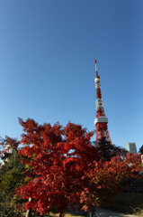 秋晴東京