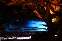 六義園にて