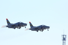 T4