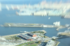 箱庭効果