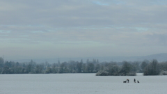 P1020569