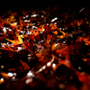 嵐山紅葉スナップ２