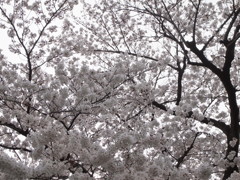 阿佐ヶ谷住宅