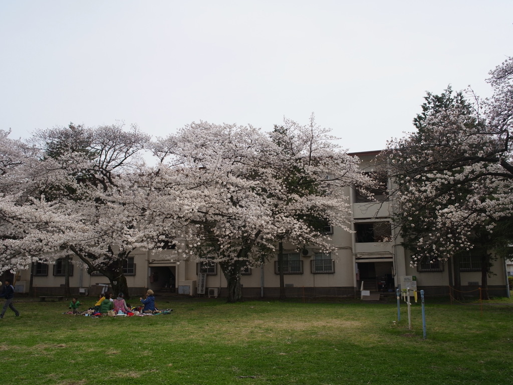 阿佐ヶ谷住宅