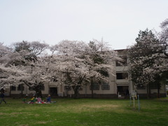 阿佐ヶ谷住宅