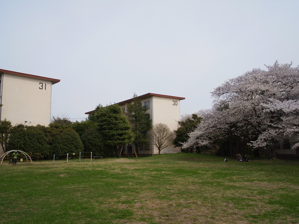 阿佐ヶ谷住宅