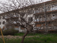 阿佐ヶ谷住宅