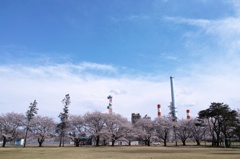 桜のある工場