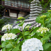 さざえ堂