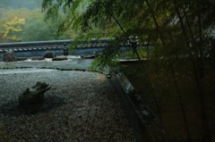 雨に濡れる