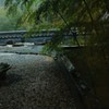 雨に濡れる