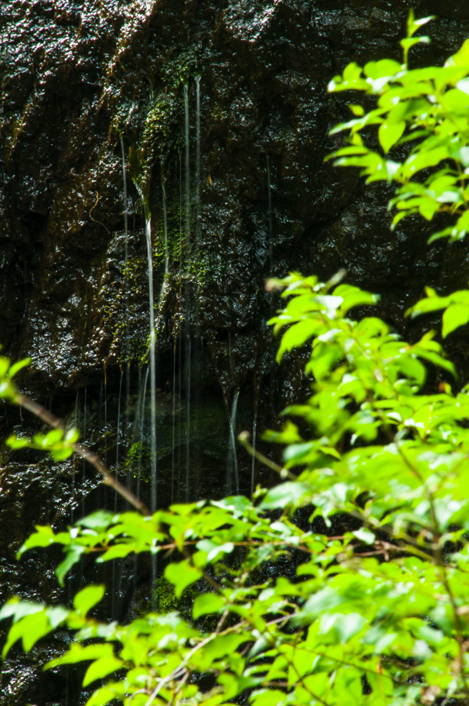 DSC_0640